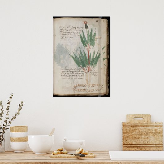 Voynich manuscript poster (Keuken)