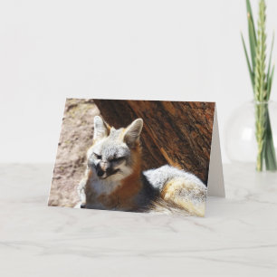 Vozig, leeg Wenskaart Kaart