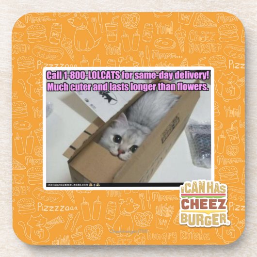 Vraag 1-800-LOLCATS Bier Onderzetter (Voorkant)