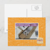 Vraag 1-800-LOLCATS Briefkaart (Voorkant / Achterkant)