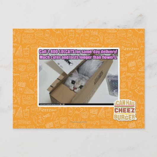 Vraag 1-800-LOLCATS Briefkaart (Voorkant)