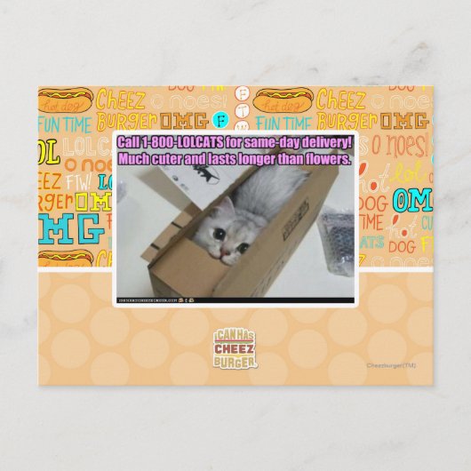 Vraag 1-800-LOLCATS Briefkaart (Voorkant)