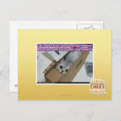 Vraag 1-800-LOLCATS Briefkaart (Voorkant / Achterkant)