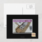 Vraag 1-800-LOLCATS Briefkaart (Voorkant / Achterkant)