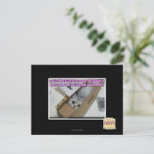 Vraag 1-800-LOLCATS Briefkaart (Staand voorkant)