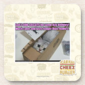 Vraag 1-800-LOLCATS Drankjes Onderzetter (Voorkant)