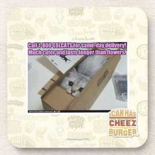 Vraag 1-800-LOLCATS Drankjes Onderzetter
