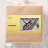 Vraag 1-800-LOLCATS Etiket (Insitu)