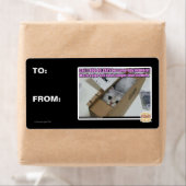 Vraag 1-800-LOLCATS Etiket (Insitu)