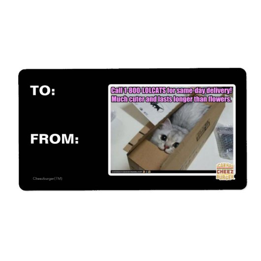 Vraag 1-800-LOLCATS Etiket (Voorkant)