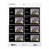 Vraag 1-800-LOLCATS Etiket (Full Sheet)