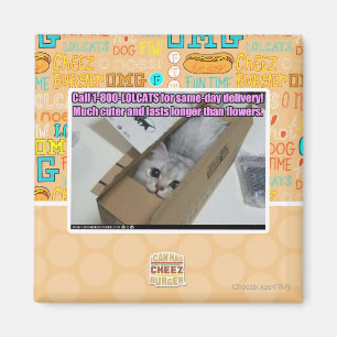 Vraag 1-800-LOLCATS Magneet