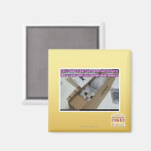 Vraag 1-800-LOLCATS Magneet (Voorkant / Achterkant)