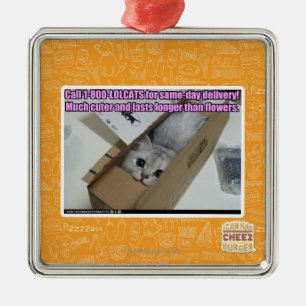 Vraag 1-800-LOLCATS Metalen Ornament