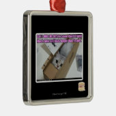 Vraag 1-800-LOLCATS Metalen Ornament (Rechts)