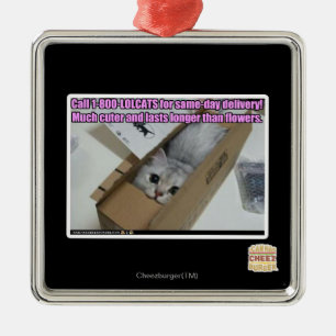 Vraag 1-800-LOLCATS Metalen Ornament