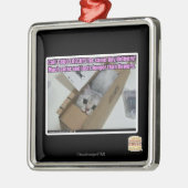Vraag 1-800-LOLCATS Metalen Ornament (Links)