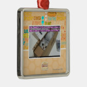 Vraag 1-800-LOLCATS Metalen Ornament (Rechts)