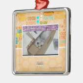 Vraag 1-800-LOLCATS Metalen Ornament (Links)