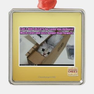 Vraag 1-800-LOLCATS Metalen Ornament