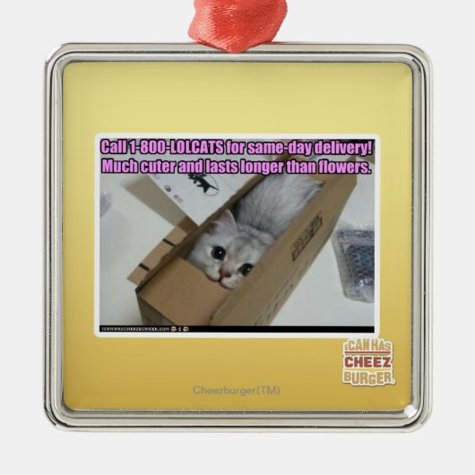 Vraag 1-800-LOLCATS Metalen Ornament (Voorkant)