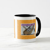 Vraag 1-800-LOLCATS Mok (Voorkant rechts)