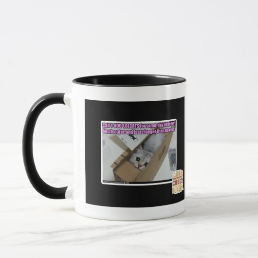 Vraag 1-800-LOLCATS Mok (Links)