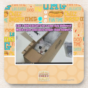 Vraag 1-800-LOLCATS Onderzetter