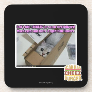 Vraag 1-800-LOLCATS Onderzetter
