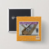 Vraag 1-800-LOLCATS Vierkante Button 5,1 Cm (Voorkant /achterkant)
