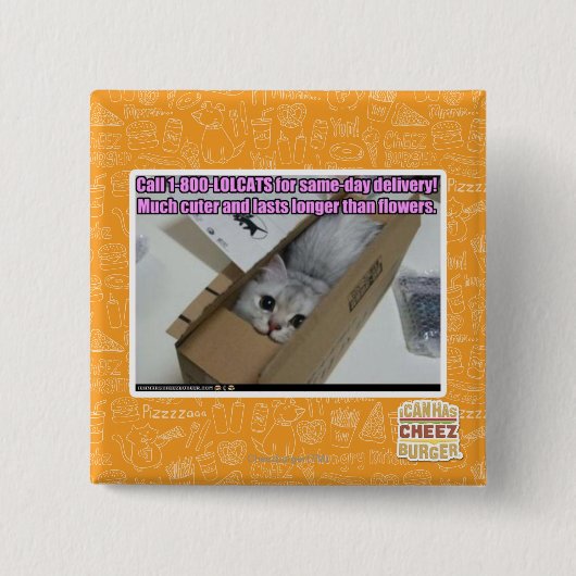 Vraag 1-800-LOLCATS Vierkante Button 5,1 Cm (Voorkant)