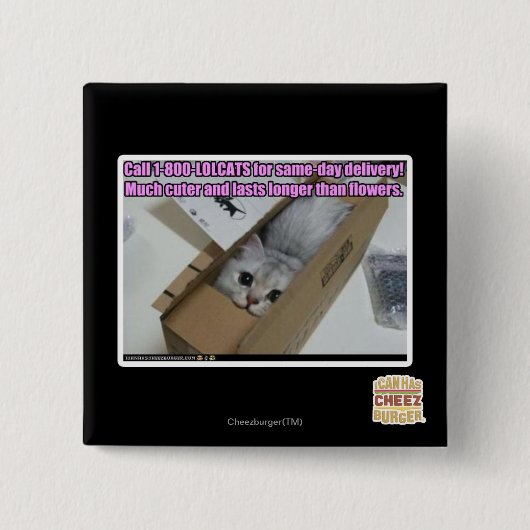 Vraag 1-800-LOLCATS Vierkante Button 5,1 Cm (Voorkant)