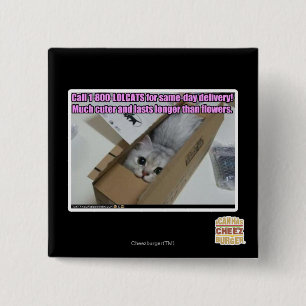 Vraag 1-800-LOLCATS Vierkante Button 5,1 Cm
