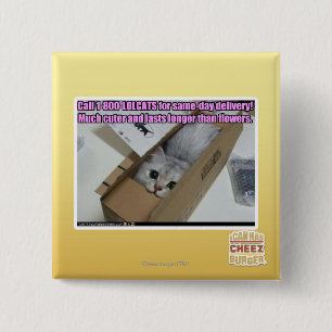 Vraag 1-800-LOLCATS Vierkante Button 5,1 Cm