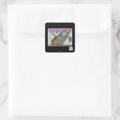 Vraag 1-800-LOLCATS Vierkante Sticker (Tas)
