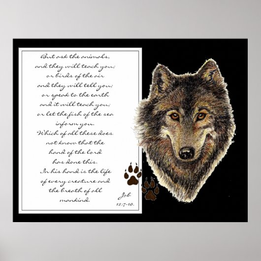 Vraag de Manuscript van Dieren van de Wolf van de  Poster (Voorkant)