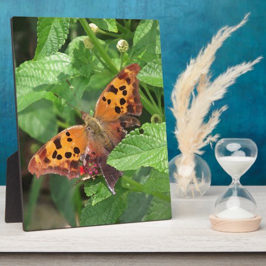 Vraag Mark Butterfly over Lantana Fotoplaat (Zijkant)