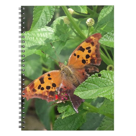 Vraag Mark Butterfly over Lantana Notitieboek (Voorkant)