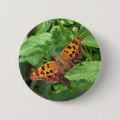 Vraag Mark Butterfly over Lantana Ronde Button 5,7 Cm (Voorkant)