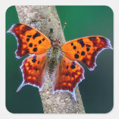 Vraag Mark Butterfly Sticker (Voorkant)