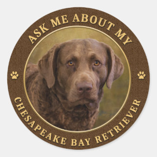 Vraag me naar Mijn eBay Retriever Stickers