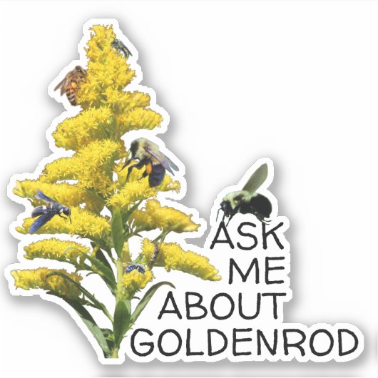 Vraag me over Goldenrod en bestuivers Sticker (Voorkant)