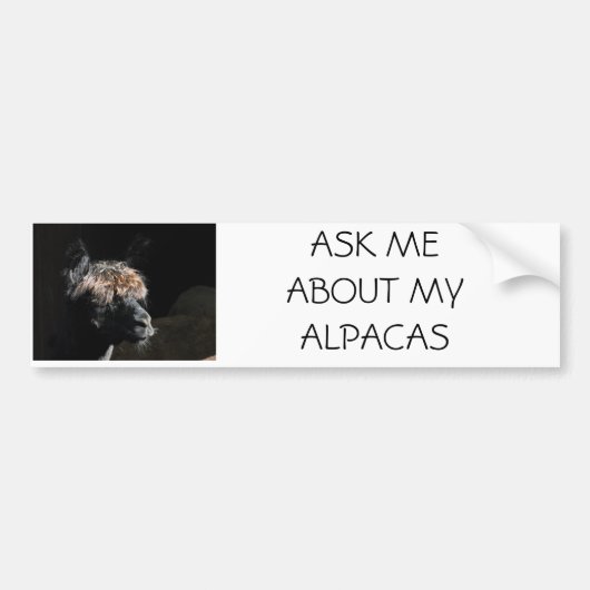 VRAAG ME OVER MIJN ALPACAS BUMPERSTICKER (Voorkant)