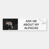 VRAAG ME OVER MIJN ALPACAS BUMPERSTICKER (Voorkant)