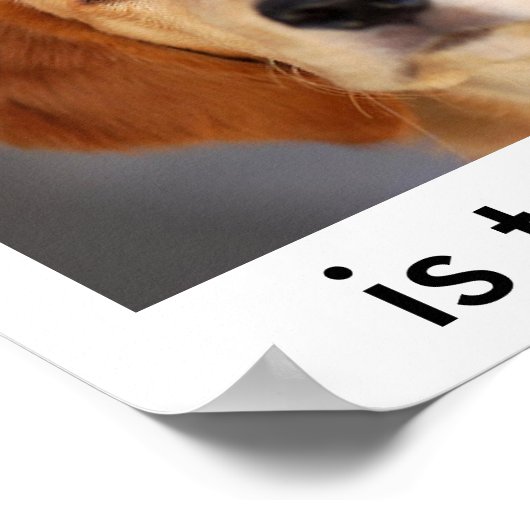 Vraag wat je wilt poster (Hoek)