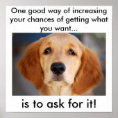 Vraag wat je wilt poster (Voorkant)