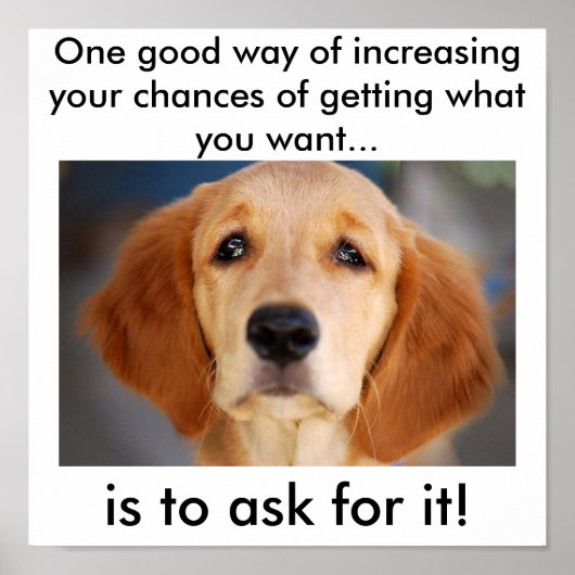 Vraag wat je wilt poster (Voorkant)