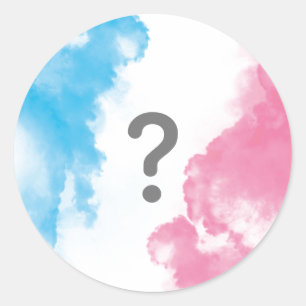 Vraagteken Baby Geslacht onthullen Smoke Blue Pink Ronde Sticker