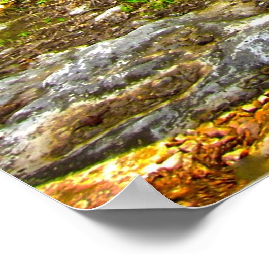 Vrachtwagen 2 van Pa Poster (Hoek)