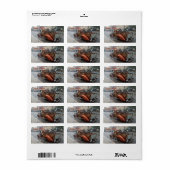 vrachtwagen met fiets/Jerome, Arizona Etiket (Full Sheet)